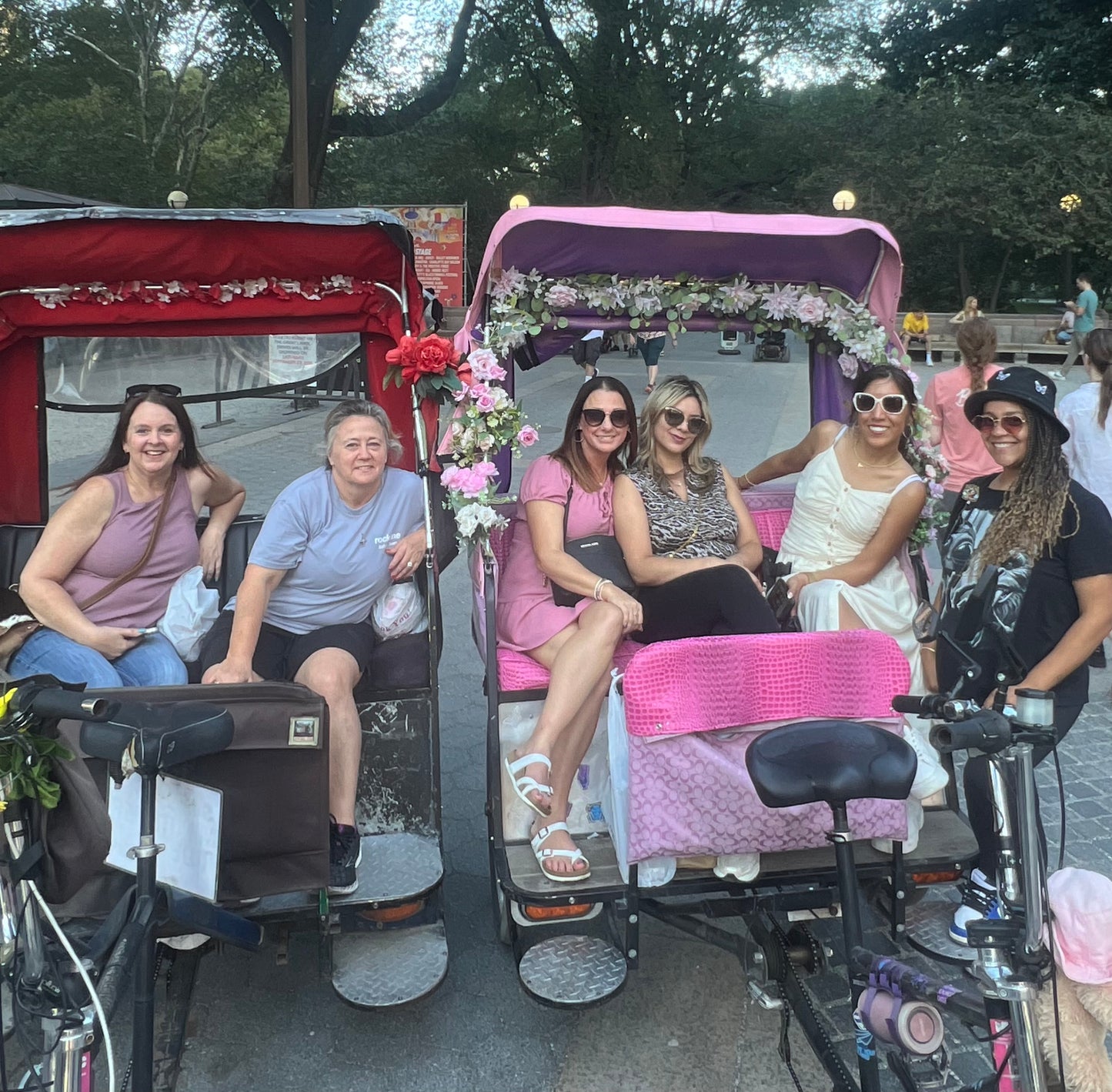 Central Park Pedicab Tour